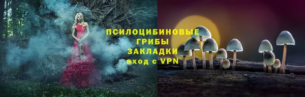 твердый Майский